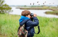 Quelles jumelles pour l’observation des oiseaux ?