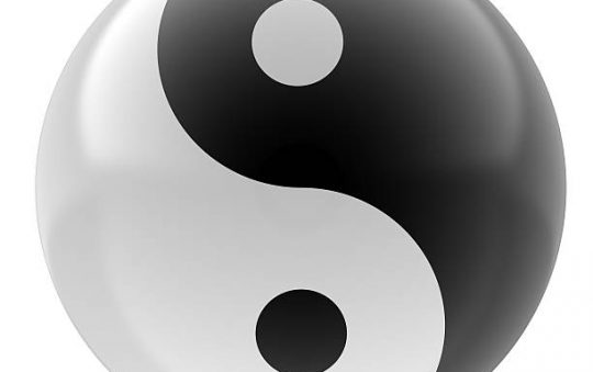 Quelle différence entre le Yin et le Yang ?